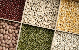 鄭州干果及農(nóng)副產(chǎn)品批發(fā)市場(chǎng)指南——世界工廠網(wǎng)助您精準(zhǔn)對(duì)接