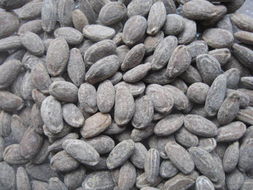 九大堅果助你成功減肥 健康零食的智慧選擇